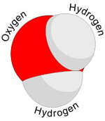 water molecule