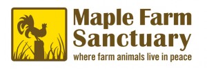 Maple Farm Sanctuary Spotlight